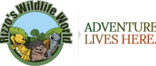 Rizzosreptileworld Logo for Rizzo's Wildlife World